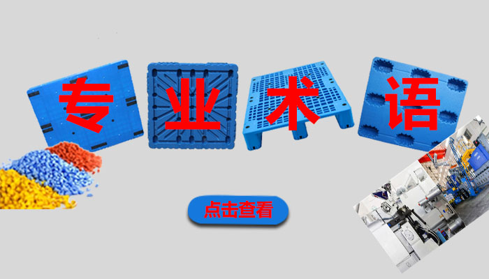 专业术语.jpg